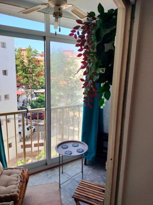 Appartement 2-4 Pers Animations *